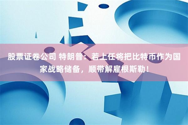 股票证卷公司 特朗普：若上任将把比特币作为国家战略储备，顺带解雇根斯勒！