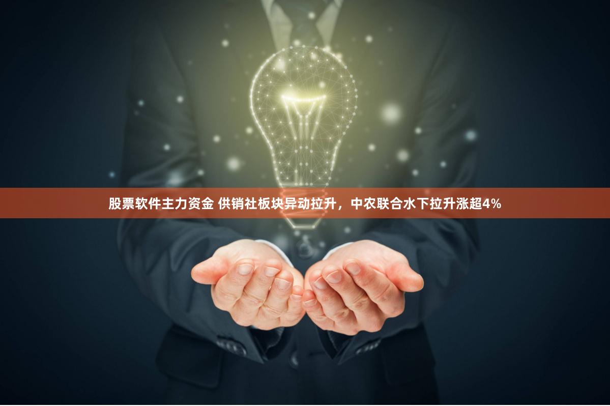 股票软件主力资金 供销社板块异动拉升，中农联合水下拉升涨超4%